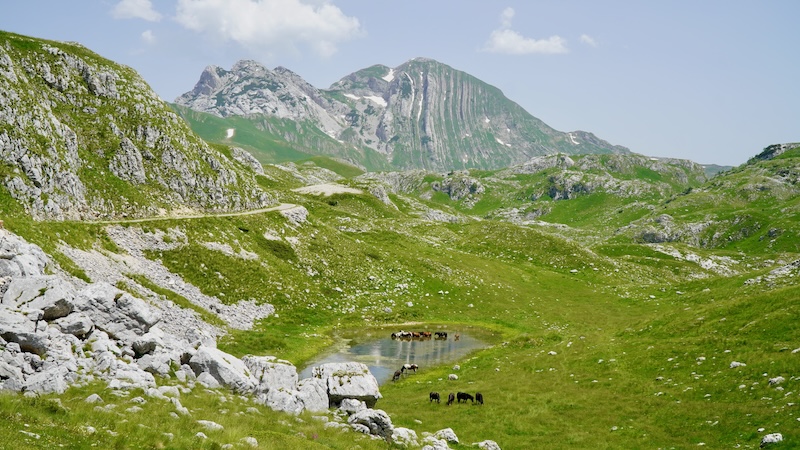 национальный парк дурмитор черногория